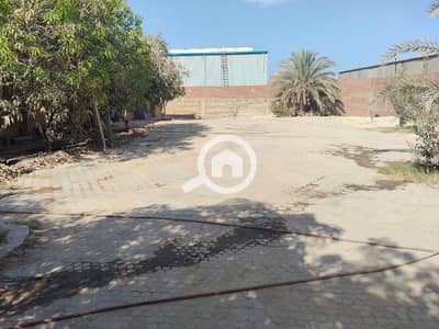 صناعي للبيع في القاهرة الجديدة، القاهرة - 1000062852. jpg صناعي للبيع في القاهرة الجديدة، القاهرة - 1000062852. jpg