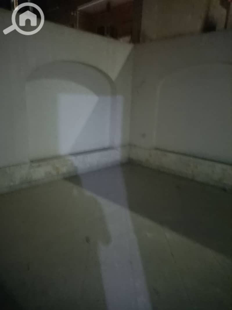 8 1000351203. jpg