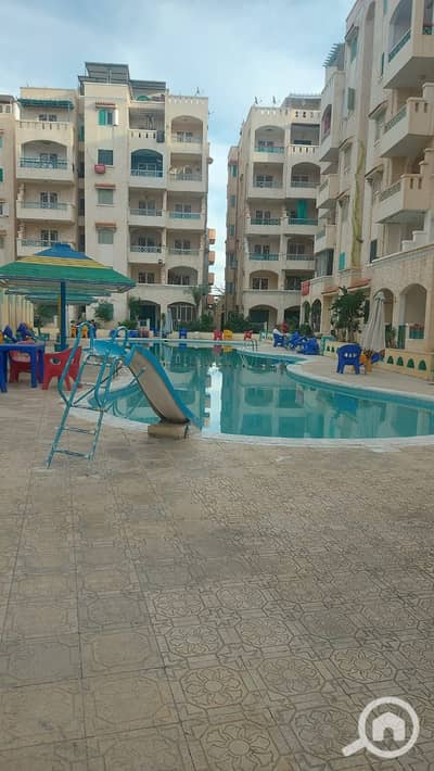 فلیٹ 2 غرفة نوم للبيع في النخيل، الإسكندرية - 1000724936. jpg