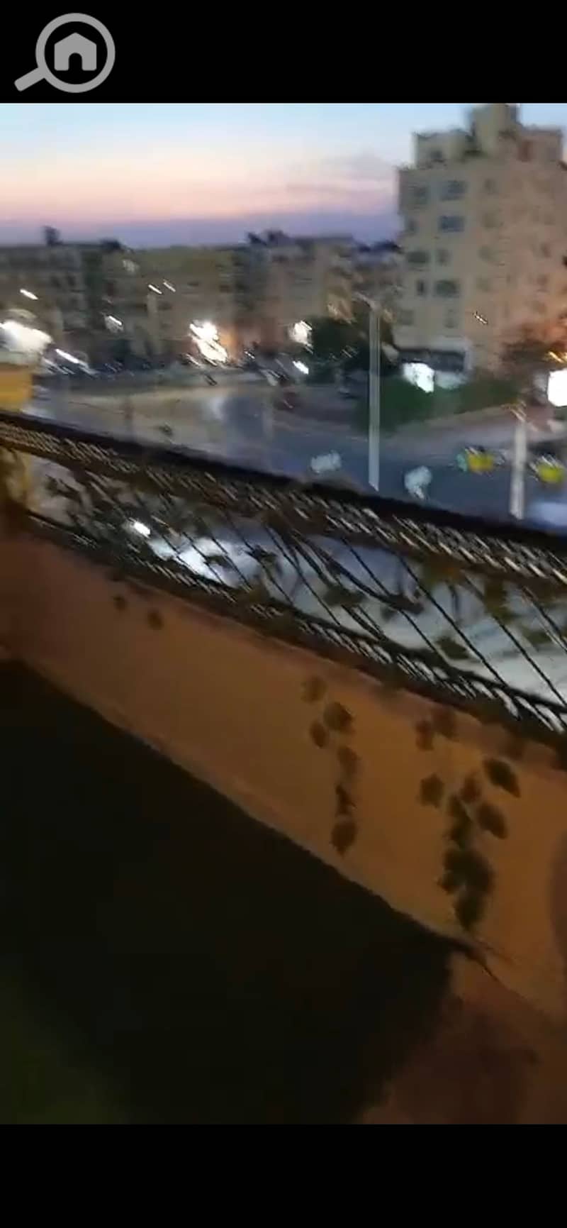 4 1012845. jpg