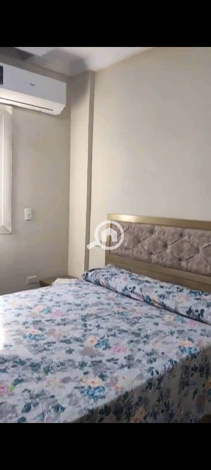 3 172583. jpg