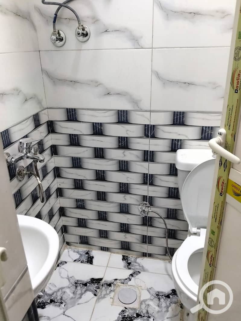 6 4393. jpg