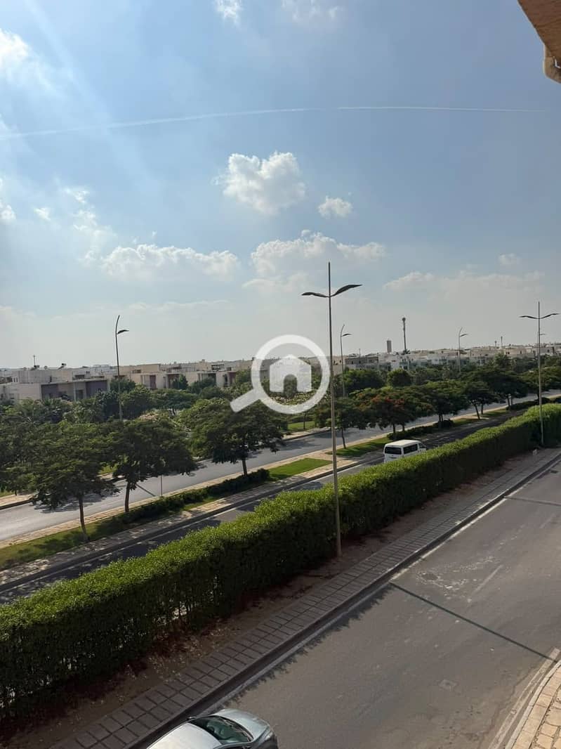 5 1000746982. jpg