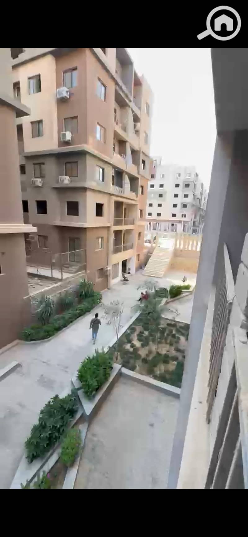 3 1013872. jpg