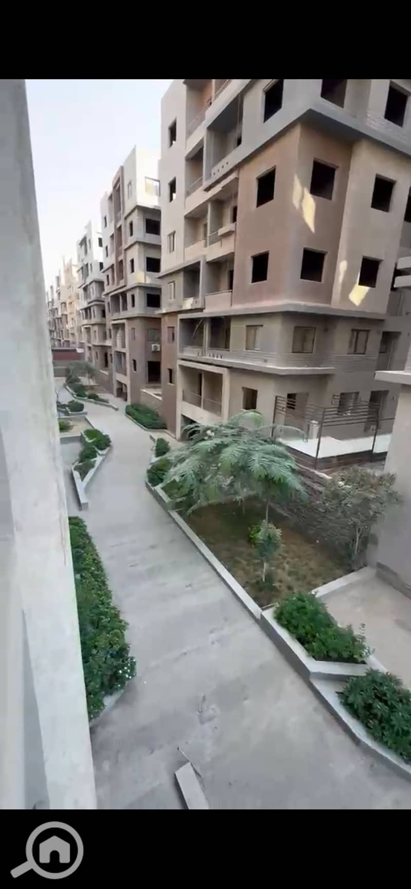 5 1013873. jpg