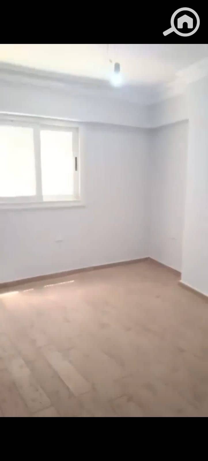 3 17. jpg