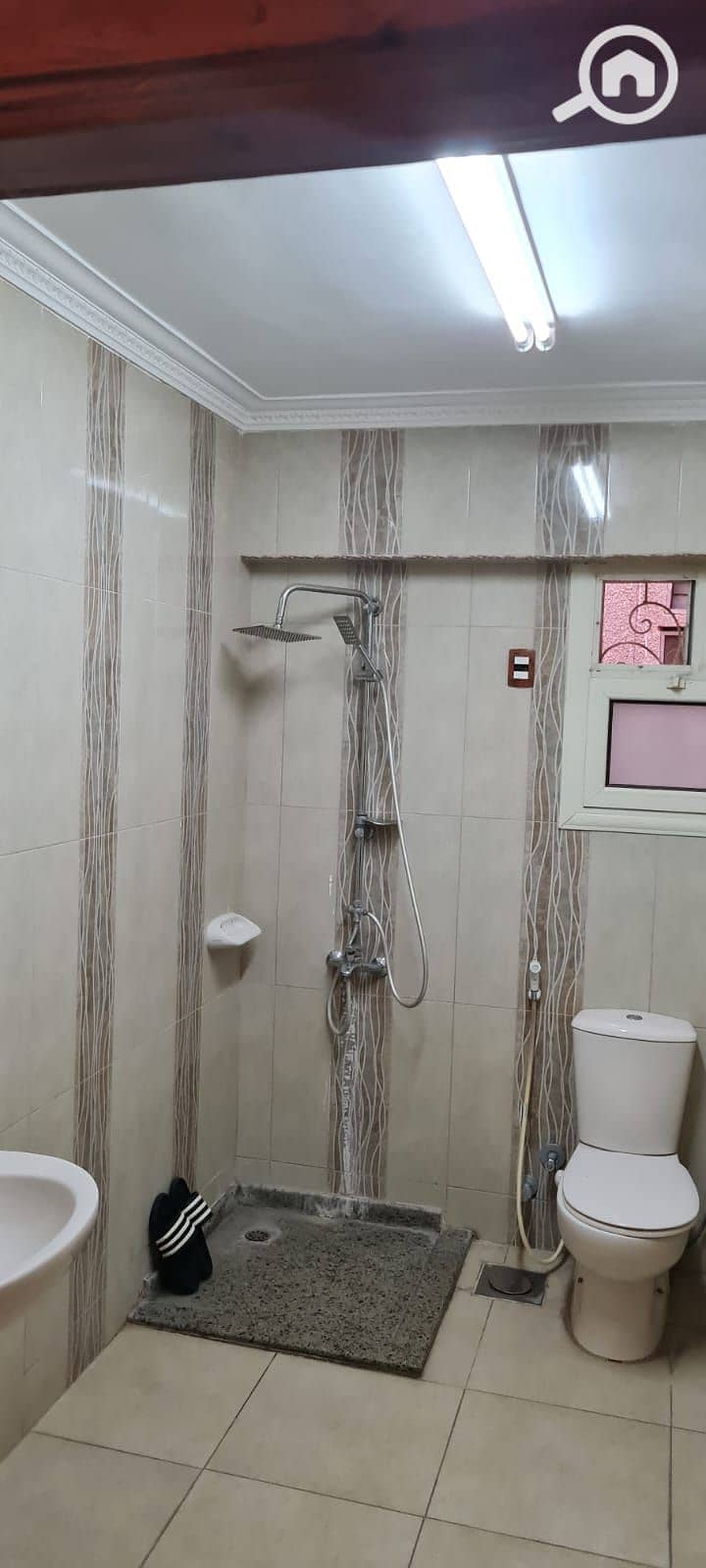 6 1000338017. jpg