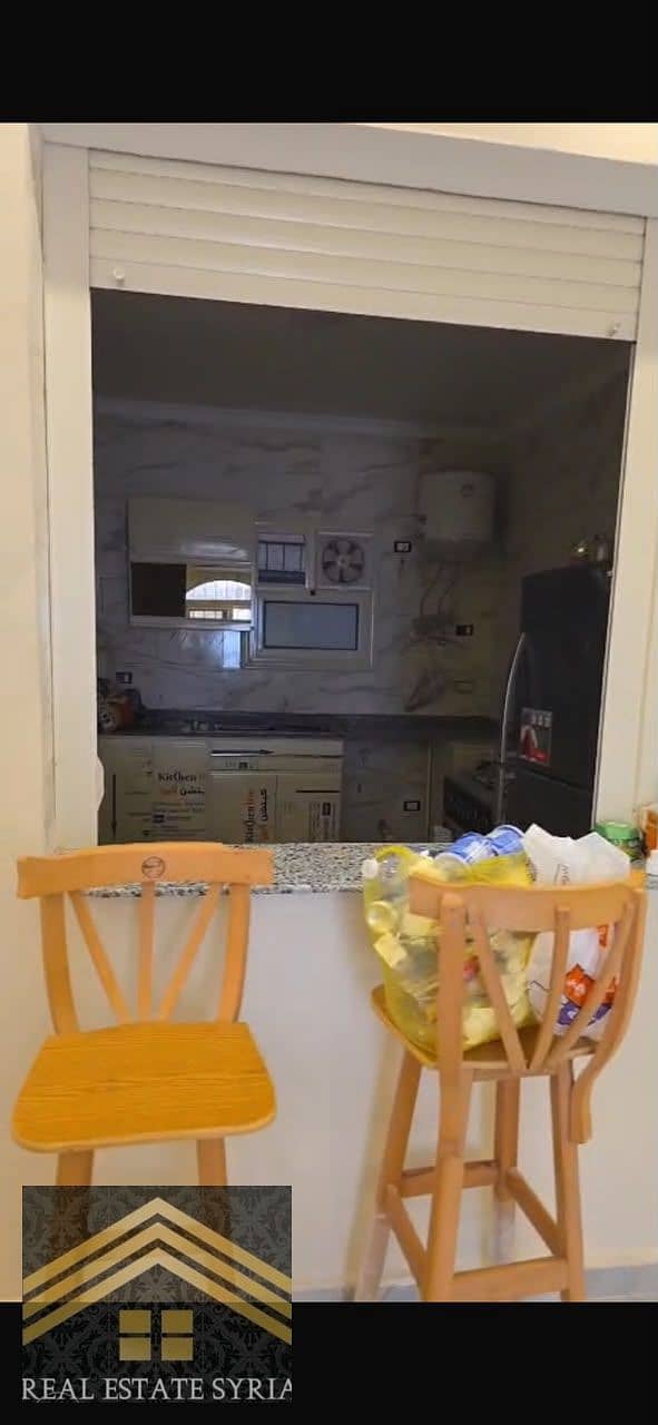 7 1000563086. jpg