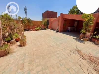 دوبلكس 4 غرف نوم للبيع في المعادي، القاهرة - 76226856-04c9-44a4-9df8-1b736ccfeb9e. jpeg دوبلكس 4 غرف نوم للبيع في المعادي، القاهرة - 76226856-04c9-44a4-9df8-1b736ccfeb9e. jpeg