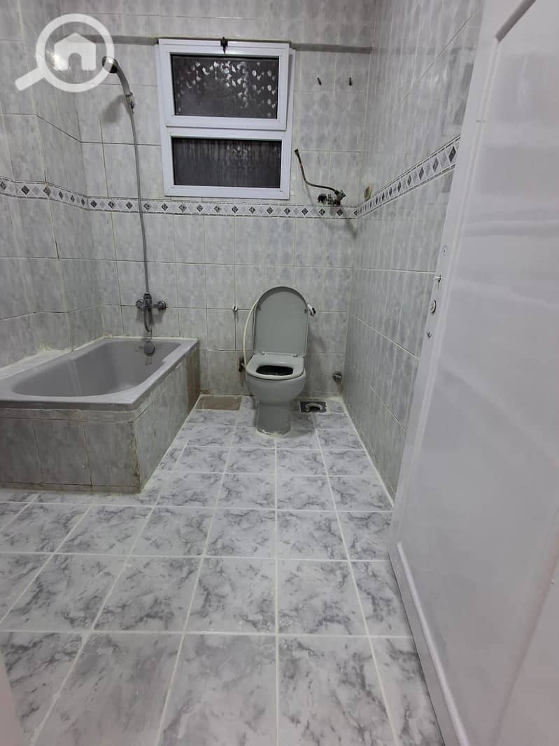 7 1000727292. jpg