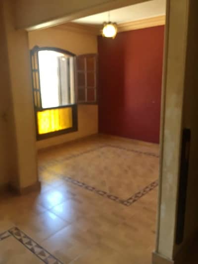 2 Bedroom Flat for Sale in New Cairo, Cairo - شقة للبيع بالتجمع الأول 2 Bedroom Flat for Sale in New Cairo, Cairo - شقة للبيع بالتجمع الأول