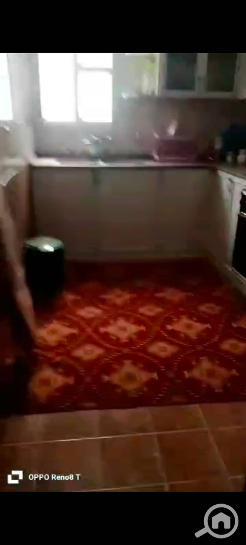 6 1000831952. jpg