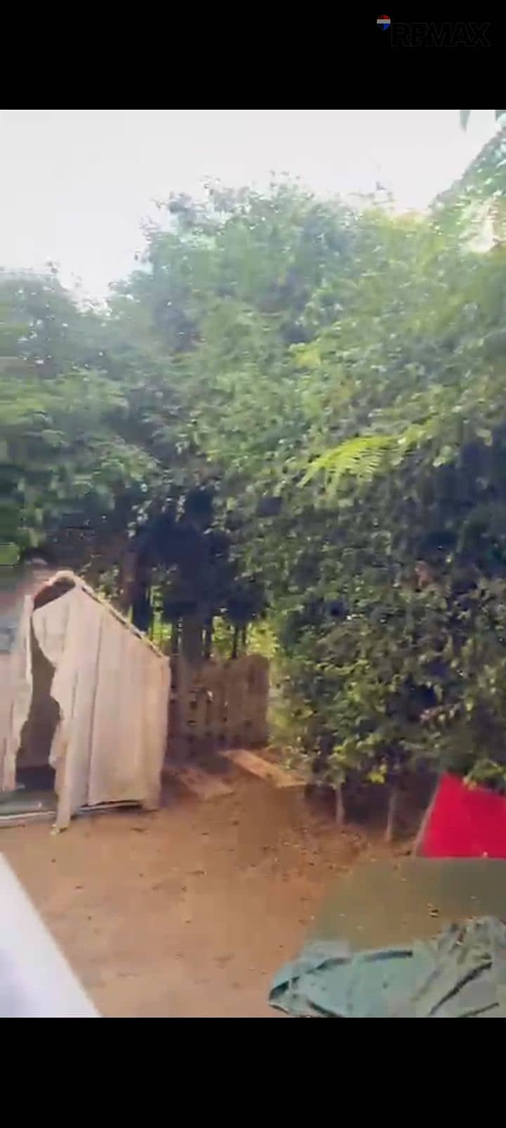 2 1000375857. jpg