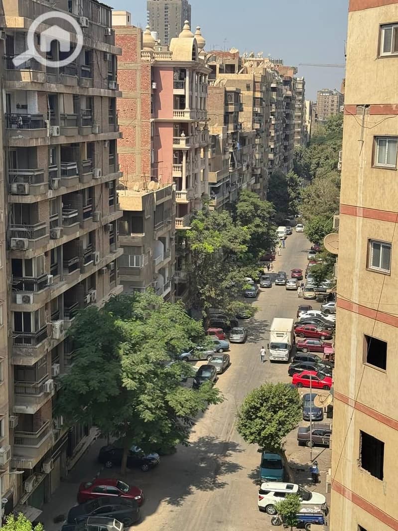 5 167295. jpg