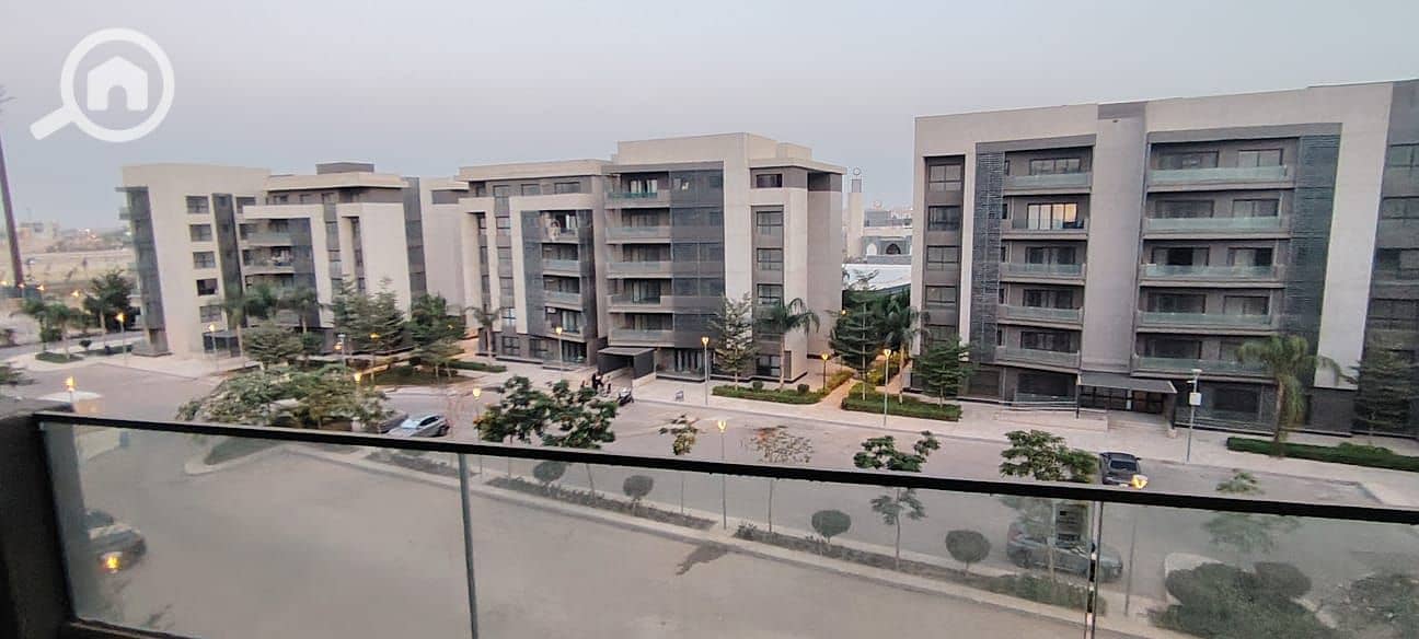 17 1000626262. jpg