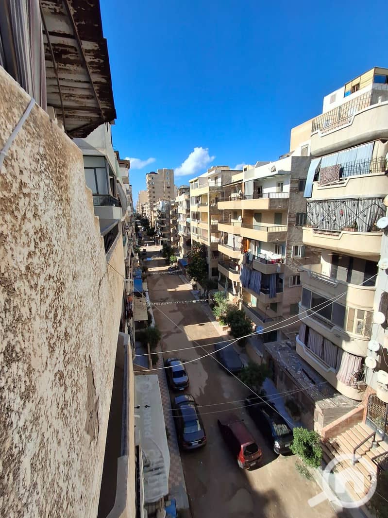 14 1000726807. jpg