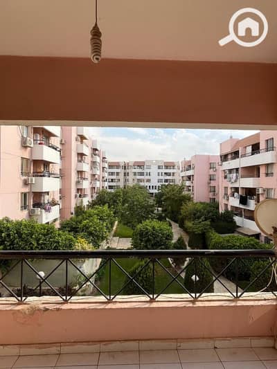 3 Bedroom Flat for Rent in New Cairo, Cairo - 1001275809. jpg 3 Bedroom Flat for Rent in New Cairo, Cairo - 1001275809. jpg