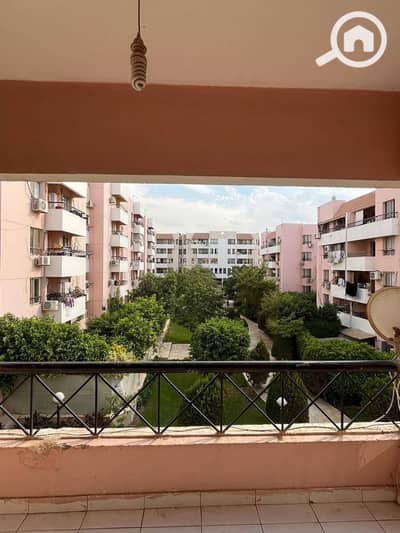 3 Bedroom Apartment for Rent in New Cairo, Cairo - WhatsApp Image 2026-10-03 at 3.34. 49 PM. jpeg 3 Bedroom Apartment for Rent in New Cairo, Cairo - WhatsApp Image 2026-10-03 at 3.34. 49 PM. jpeg
