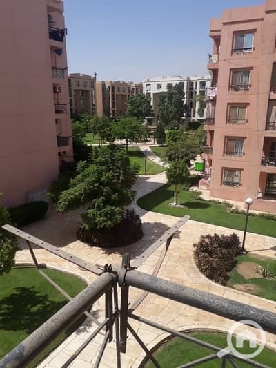 2 Bedroom Apartment for Rent in New Cairo, Cairo - 6aba4ee61ccbe_WhatsApp-Image-2026-09-28-at-2.25. 49-PM-(3). jpeg 2 Bedroom Apartment for Rent in New Cairo, Cairo - 6aba4ee61ccbe_WhatsApp-Image-2026-09-28-at-2.25. 49-PM-(3). jpeg