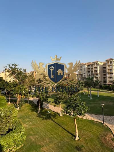 3 Bedroom Flat for Rent in Madinaty, Cairo - WhatsApp Image 2026-09-08 at 5.32. 59 AM. jpeg