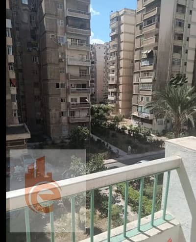 2 Bedroom Apartment for Rent in Smoha, Alexandria - قات. png 2 Bedroom Apartment for Rent in Smoha, Alexandria - قات. png