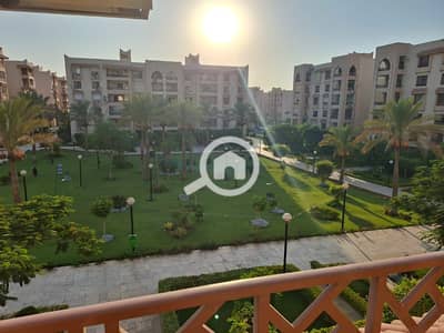 3 Bedroom Flat for Rent in New Cairo, Cairo - 6ab4e466498a7_WhatsApp-Image-2026-09-23-at-4.01. 01-PM. jpeg 3 Bedroom Flat for Rent in New Cairo, Cairo - 6ab4e466498a7_WhatsApp-Image-2026-09-23-at-4.01. 01-PM. jpeg