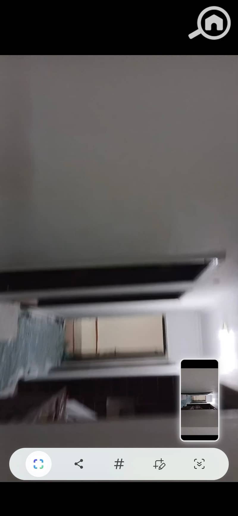 2 263962. jpg