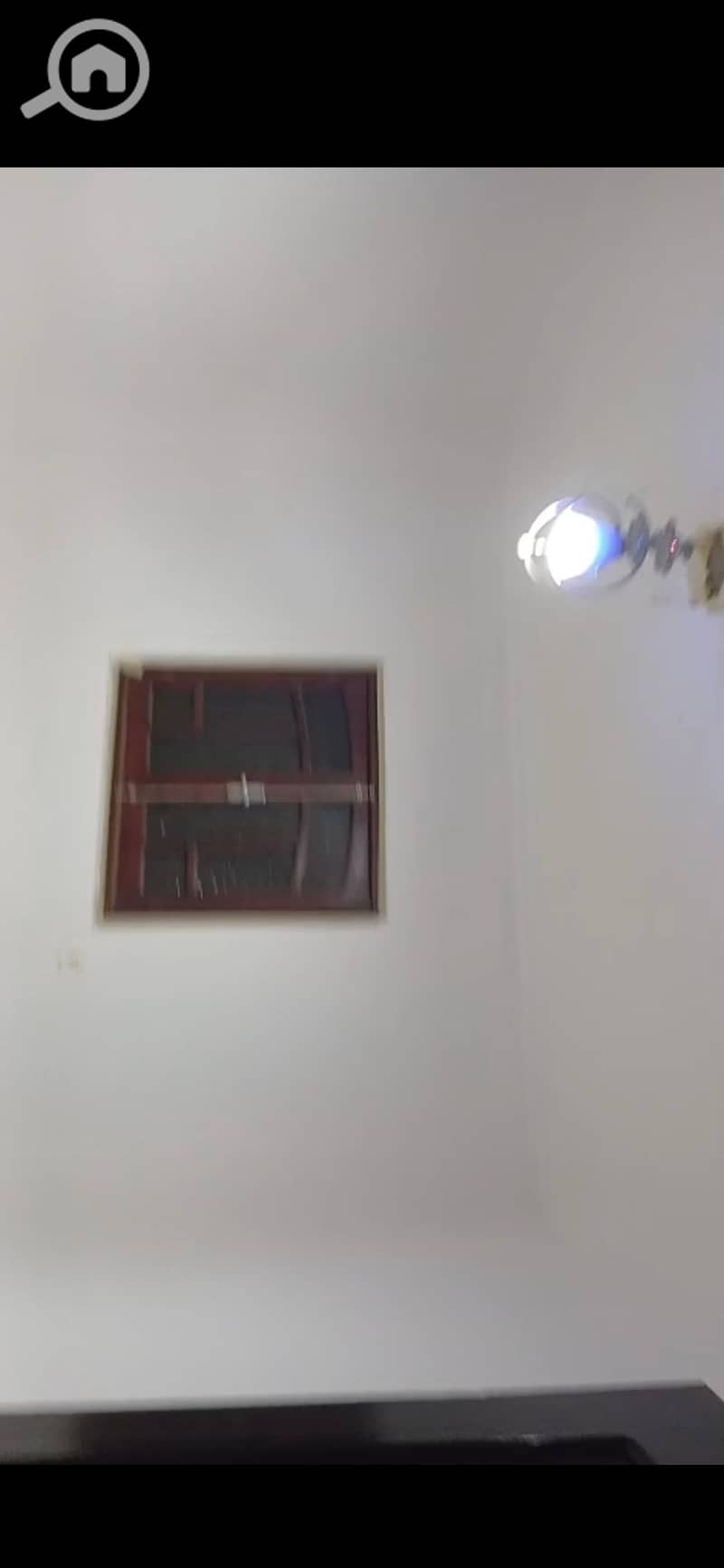 3 263964. jpg