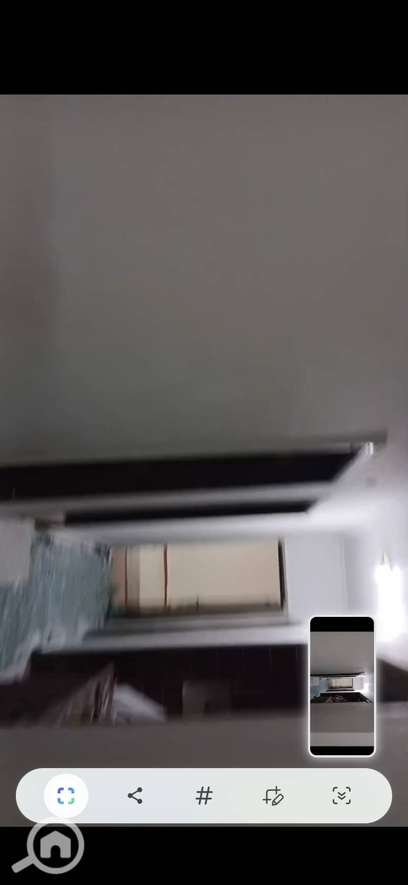 4 263962. jpg
