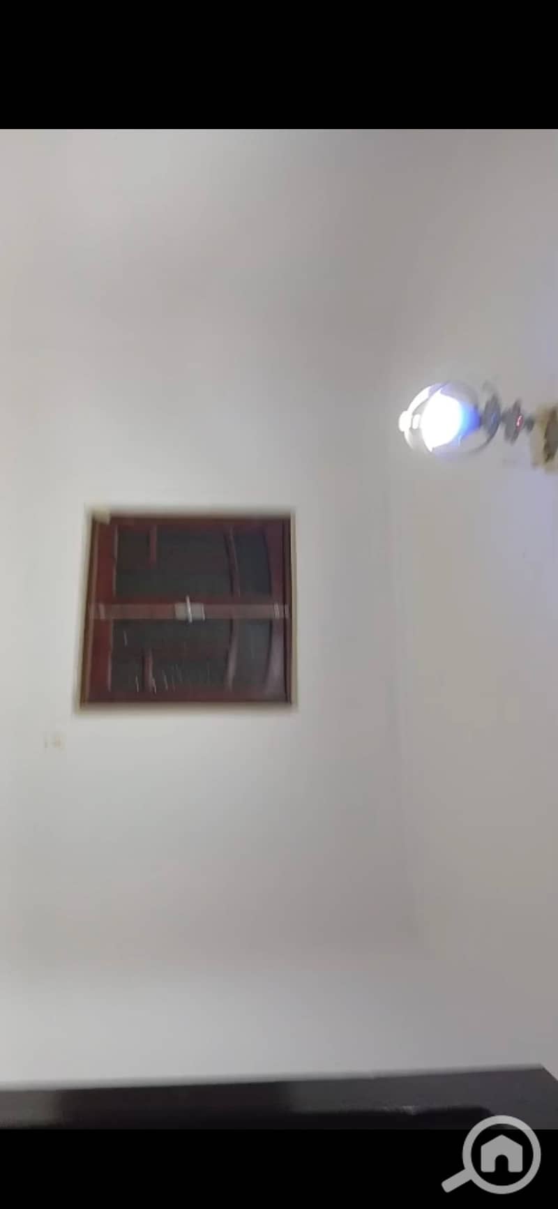 5 263964. jpg