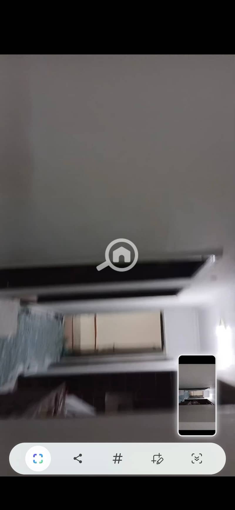 6 263962. jpg
