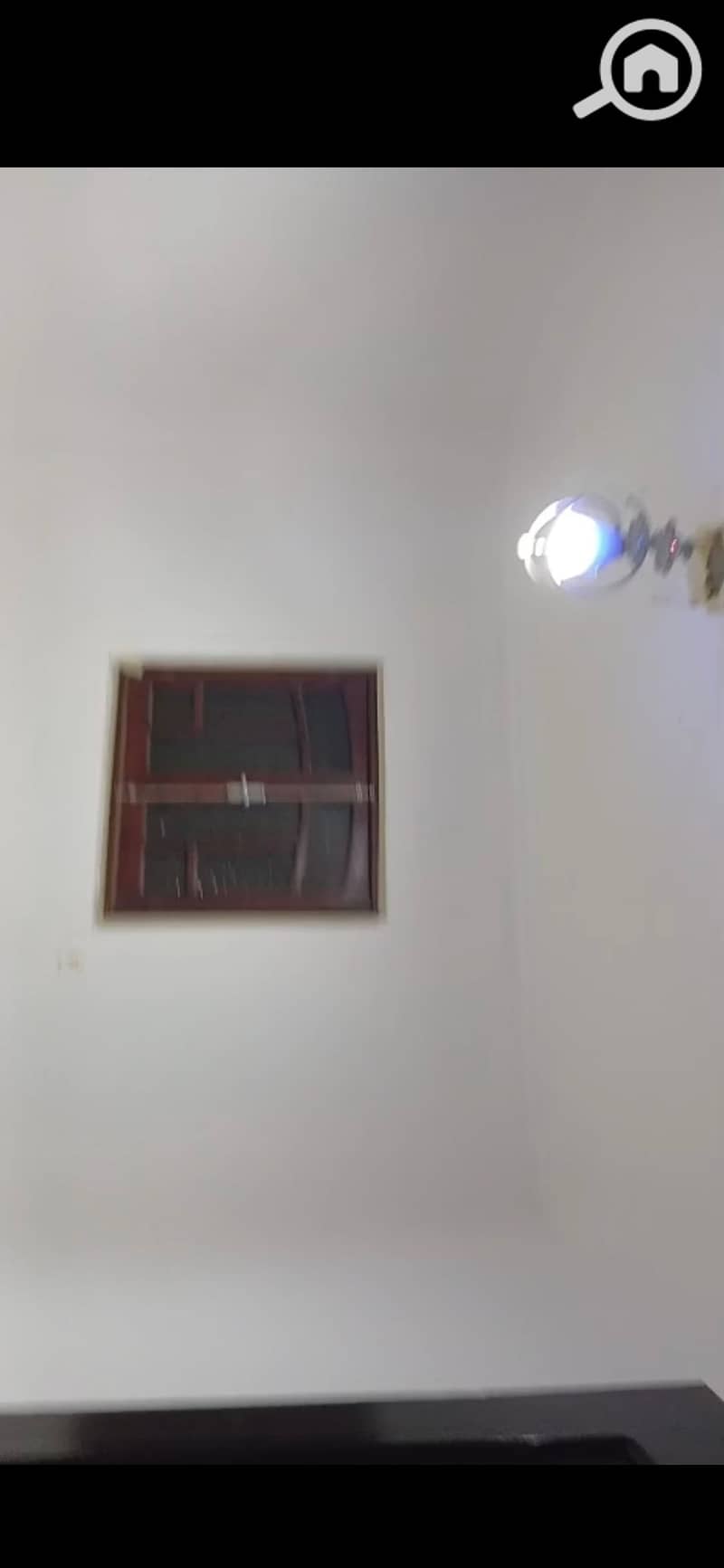 7 263964. jpg