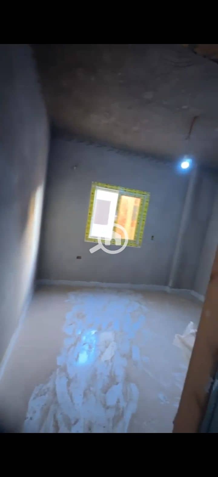 12 218293. jpg