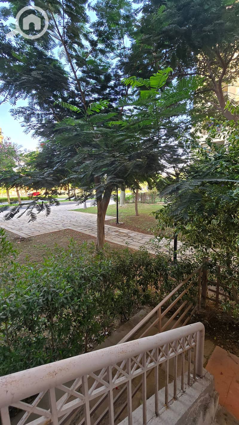 3 1000967136. jpg