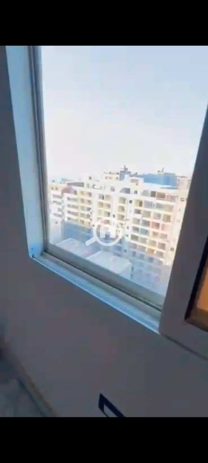 7 131563. jpg