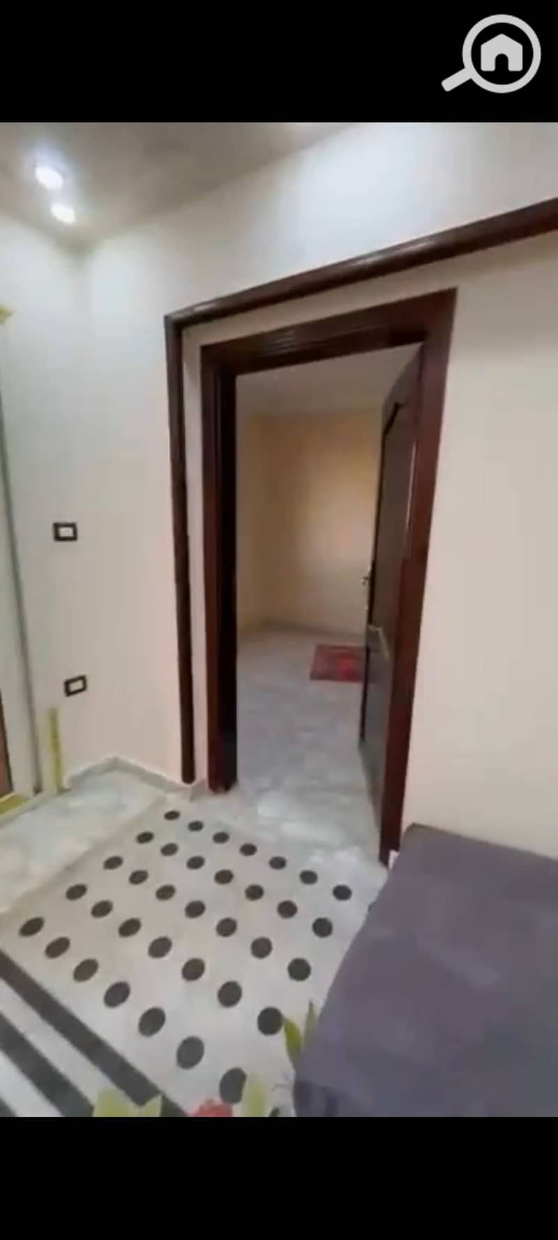 8 131562. jpg