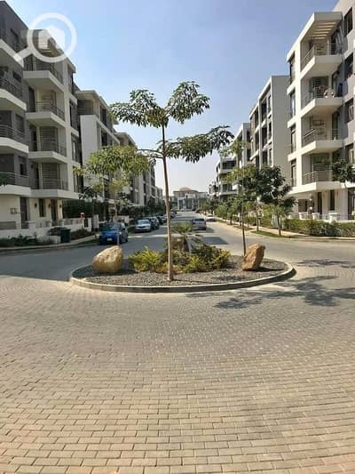 3 Bedroom Apartment for Sale in Nasr City, Cairo - WhatsApp Image 2025-08-19 at 2.02. 29 PM (2). jpeg