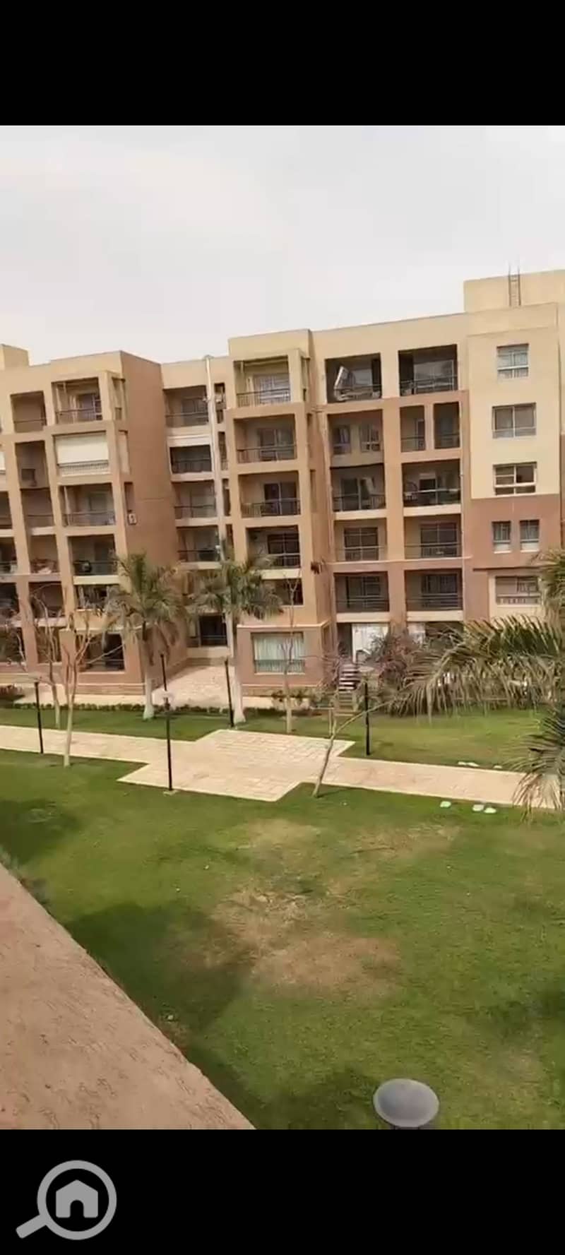 6 1000719111. jpg