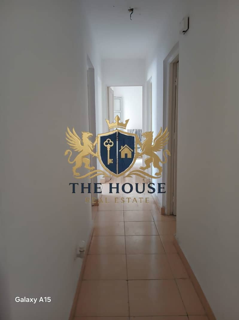 4 131699. jpg