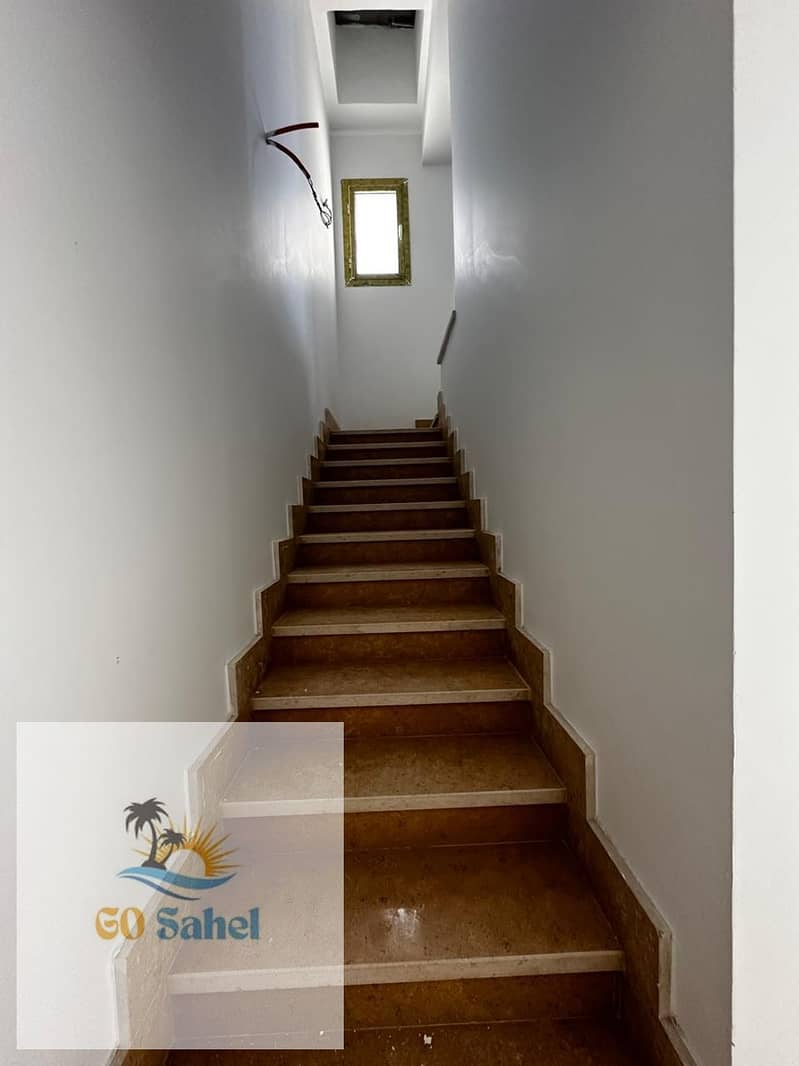 22 238038. jpg