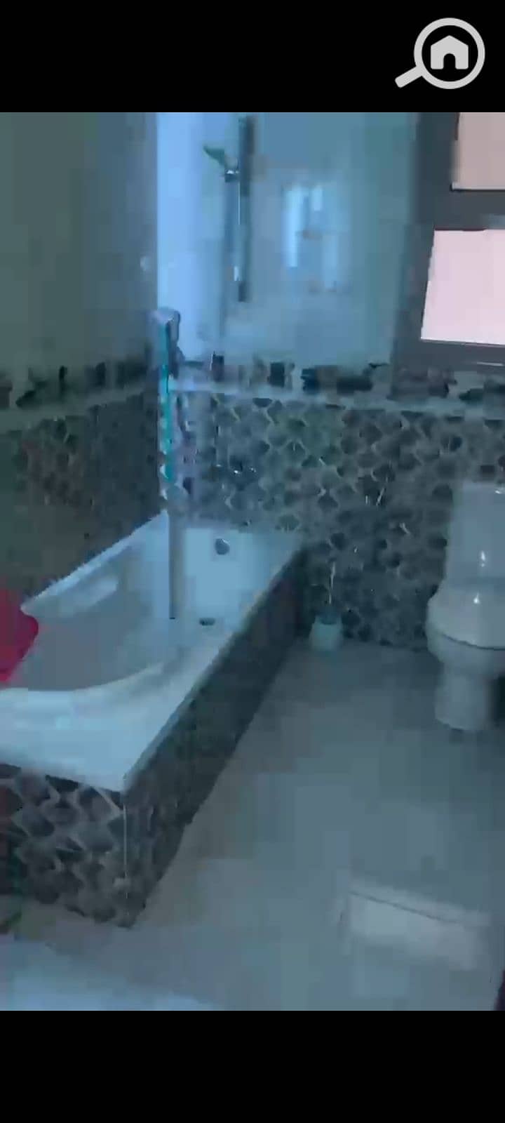 3 1000105282. jpg