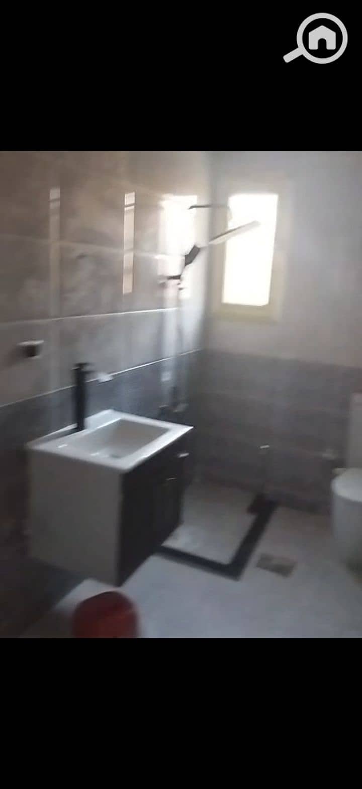 3 219134. jpg