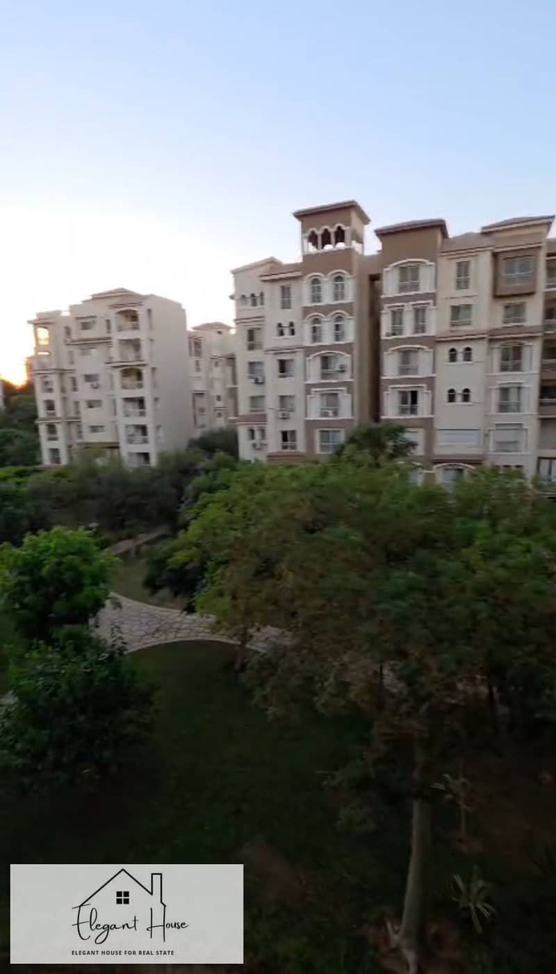 7 494614. jpg