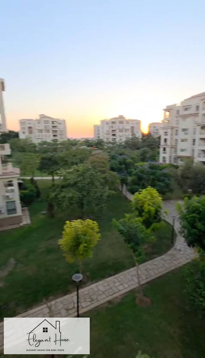 15 494621. jpg