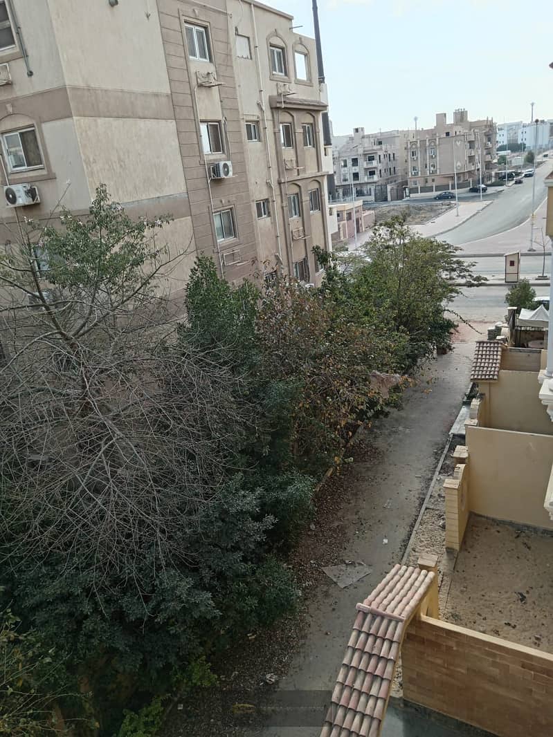 8 21213ص. jpeg