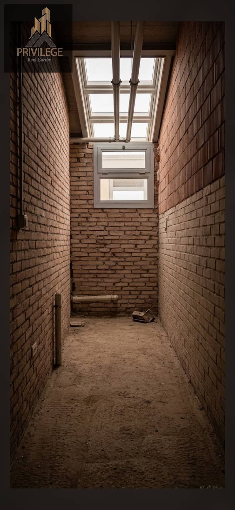 3 1000223063. jpg
