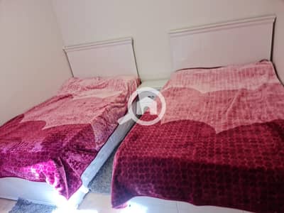 3 Bedroom Flat for Rent in Nasr City, Cairo - 601609. jpg 3 Bedroom Flat for Rent in Nasr City, Cairo - 601609. jpg