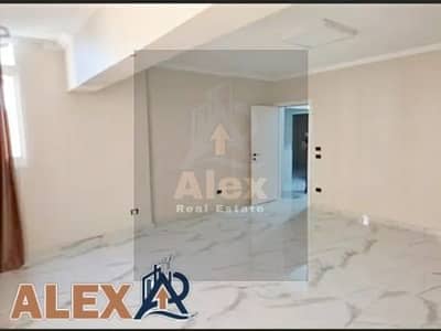 2 Bedroom Flat for Rent in Smoha, Alexandria - WhatsApp Image 2026-10-04 at 1.14. 51 PM. jpeg 2 Bedroom Flat for Rent in Smoha, Alexandria - WhatsApp Image 2026-10-04 at 1.14. 51 PM. jpeg