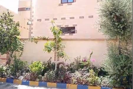 مصنع للبيع في مدينة بدر، القاهرة - WhatsApp Image 2026-10-04 at 3.58. 23 PM. jpeg مصنع للبيع في مدينة بدر، القاهرة - WhatsApp Image 2026-10-04 at 3.58. 23 PM. jpeg