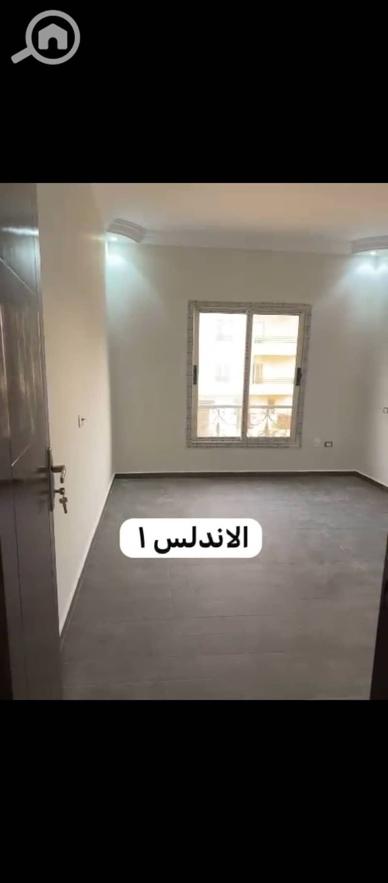 5 1000114937. jpg